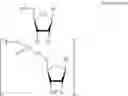 Fig. 14 - Methods for the synthesis of functionalized nucleic acids
