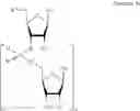 Fig. 26 - Methods for the synthesis of functionalized nucleic acids