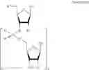 Fig. 31 - Methods for the synthesis of functionalized nucleic acids