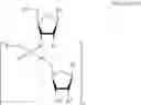 Fig. 33 - Methods for the synthesis of functionalized nucleic acids