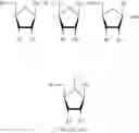 Fig. 42 - Methods for the synthesis of functionalized nucleic acids