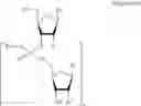 Fig. 77 - Methods for the synthesis of functionalized nucleic acids