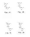 Fig. 02 - Immunosuppression compound and treatment method