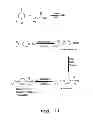 Fig. 14 - Immunosuppression compound and treatment method
