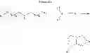 Fig. 09 - Methods for the synthesis of polycyclic guanidine compounds