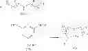 Fig. 27 - Methods for the synthesis of polycyclic guanidine compounds