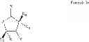 Fig. 09 - Method for Screening for Compounds Selectively Interacting with RAD9