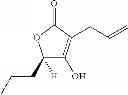 Fig. 12 - Method for Screening for Compounds Selectively Interacting with RAD9