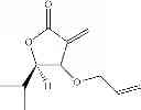 Fig. 29 - Method for Screening for Compounds Selectively Interacting with RAD9
