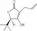 Fig. 34 - Method for Screening for Compounds Selectively Interacting with RAD9
