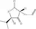 Fig. 51 - Method for Screening for Compounds Selectively Interacting with RAD9