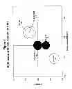 Fig. 06 - Alkyl lactyllactates and processes of making the same