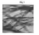 Fig. 02 - Radioactive cesium adsorbent, method for producing the same, and method for removing radioactive cesium in environment with said adsorbent