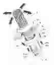 Fig. 07 - SUPPORTING A HEART