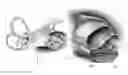 Fig. 01 - PIEZOELECTRIC-BASED, SELF-SUSTAINING ARTIFICIAL COCHLEA