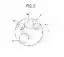 Fig. 04 - High frame rate endoscopic device and methods thereof