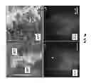 Fig. 64 - CHEMICALLY-SELECTIVE, LABEL FREE, MICROENDOSCOPIC SYSTEM BASED ON COHERENT ANTI-STOKES RAMAN SCATTERING