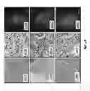 Fig. 65 - CHEMICALLY-SELECTIVE, LABEL FREE, MICROENDOSCOPIC SYSTEM BASED ON COHERENT ANTI-STOKES RAMAN SCATTERING