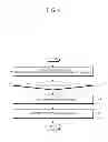 Fig. 09 - LESION DIAGNOSIS APPARATUS AND METHOD