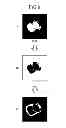 Fig. 08 - Magnetic resonance imaging apparatus and image processing apparatus