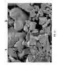 Fig. 07 - Bismuth particle X-ray contrast agents