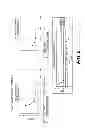 Fig. 06 - Method and device for detecting and assessing reactive hyperemia using segmental plethysmography