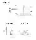 Fig. 06 - Circulatory dynamics measurement apparatus
