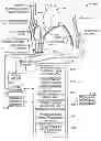 Fig. 01 - Methods and systems for detecting and treating heart instability
