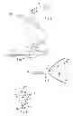 Fig. 04 - Swallowing air pulse therapy mouthpiece and method for the use thereof