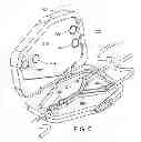 Fig. 07 - Peritoneal dialysis systems and related devices and methods