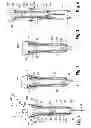 Fig. 02 - Safety device for an injection syringe
