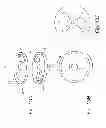 Fig. 06 - Catheter activation by handle removal
