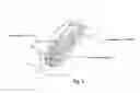 Fig. 04 - CATHETER WITH AN ENHANCED PUSHABILITY