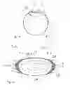 Fig. 02 - Ophthalmologic laser device and method for preventing and treating aftercataract