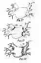 Fig. 09 - Method and apparatus for controlling lesion size in catheter-based ablation