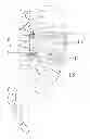 Fig. 01 - Fenestrated bone screw and method of injecting bone cement into bone structure