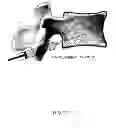 Fig. 10 - Device, Composition and Method for Prevention of Bone Fracture and Pain