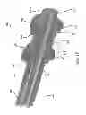 Fig. 15 - Motor interface for parallel drive shafts within an independently rotating member