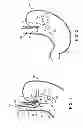 Fig. 02 - ASSEMBLIES FOR DEPLOYING FASTENERS IN TISSUE AND SNARES FOR USE IN SUCH ASSEMBLIES