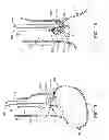 Fig. 06 - ASSEMBLIES FOR DEPLOYING FASTENERS IN TISSUE AND SNARES FOR USE IN SUCH ASSEMBLIES