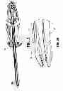 Fig. 13 - Surgical clip applier