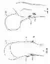 Fig. 25 - Fixation systems and methods