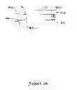 Fig. 19 - Apparatus and methods for reduction of vertebral bodies in a spine
