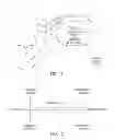 Fig. 02 - Method and apparatus for controlling autonomic balance using neural stimulation