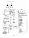 Fig. 05 - Method for expressing genes activating homeostasis