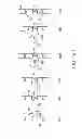 Fig. 20 - Devices and methods for coronary sinus pressure relief