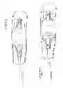 Fig. 13 - Methods and apparatuses for deploying minimally-invasive heart valves
