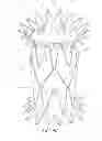 Fig. 18 - Transcatheter heart valves