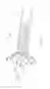 Fig. 21 - Transcatheter heart valves