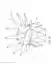 Fig. 27 - Transcatheter heart valves